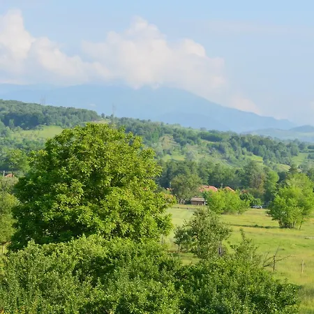 Farm stay Pensiunea Koruna Poenari