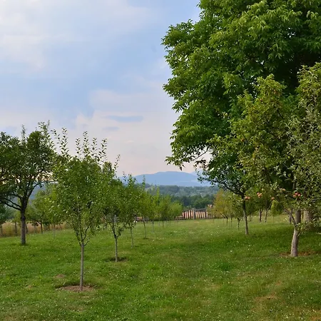 Pensiunea Koruna Farm stay Poenari